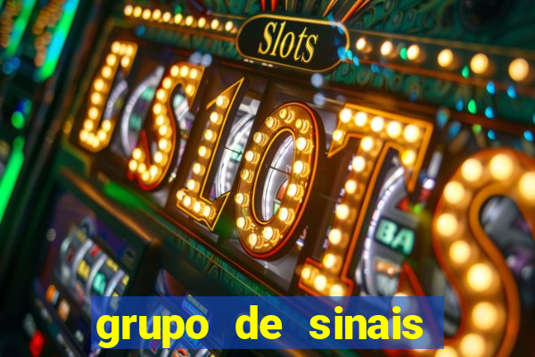 grupo de sinais fortune rabbit